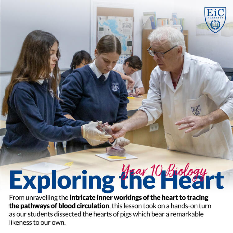 Exploring the Heart - Year Biology