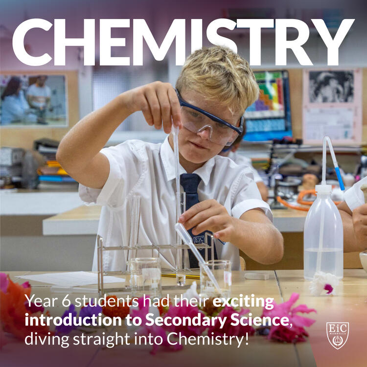 Year 6 Detecting Acids & Bases