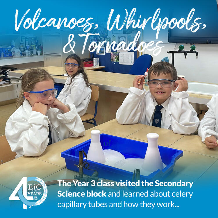 The Year 3 Class Visited the Secondary Science Block